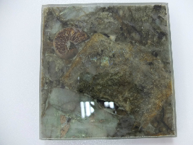 Labradorite Floor Tile