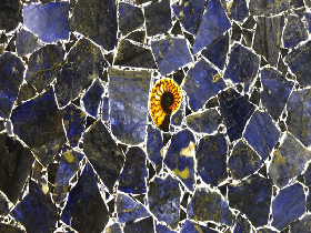 Sodalite Blue Fossil Backlit