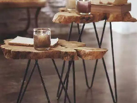 Petrified Wood Small Table with Natural Edge