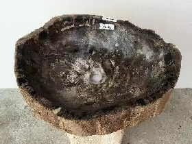 Petrified Wood Lavabo