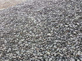 Black Natural River Pebble