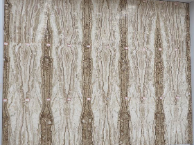 Traonyx Mirror Pattern