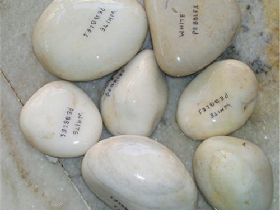 White Pebble with Letter Engraved