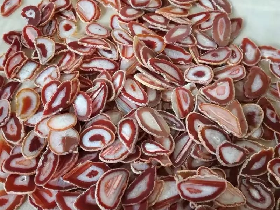 Red Agate Slice