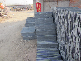 Decorative Interlocking Thermoplastic Tiles