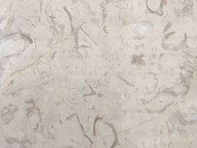 Fossil Beige Marble