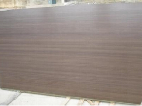 Jupitar Brown Sandstone Slab Honed