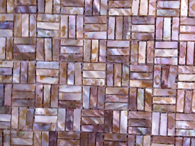 Salt Water Shell Mosaic