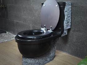 Absolute Black Granite Closestool