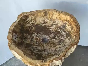 Fossilized Wood Hand-wash Basins