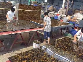 Yellow Tiger Eye Slab Workshop