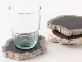 Petrified Wood Coaster