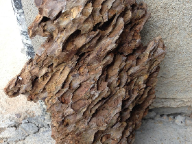 Alveolate Aquarium Stone