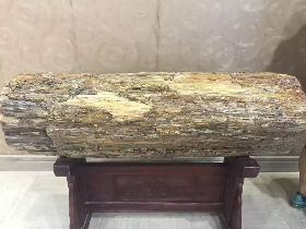 Petrified Wood Block for Basin