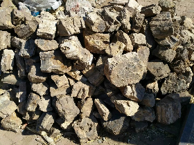 Fossilized Wood Stone