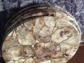 Petrified Wood Coffee Table